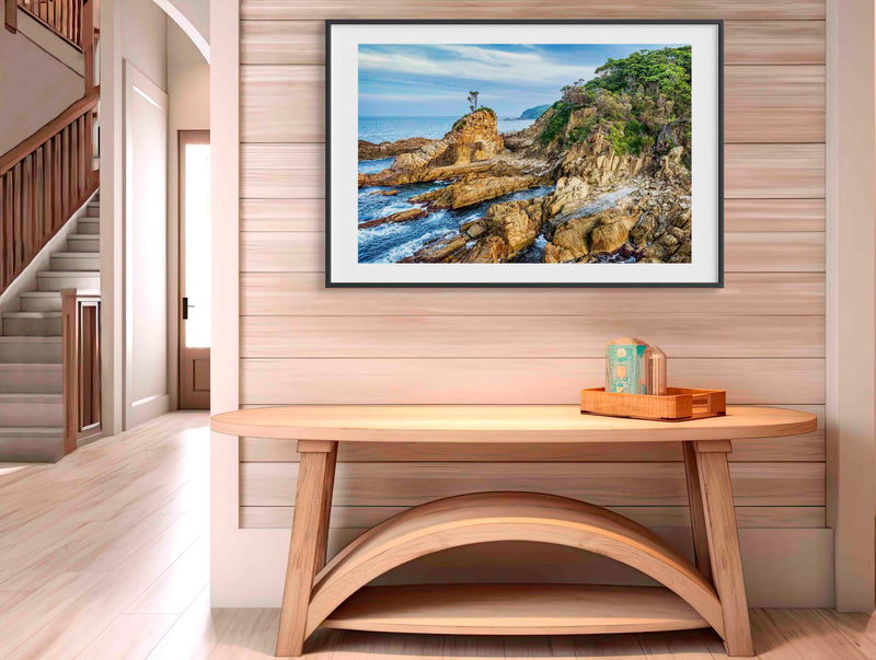 Lone Tree at Cuttagee, wall art, Sapphire Coast NSW
