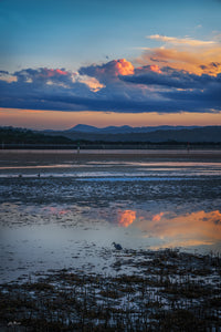 Merimbula Boardwalk - A heron on the tidal flats at dusk with Mount Imlay beyond — fine art print