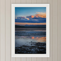 Bird on Boardwalk framed print in white with a mat, on a panelled hallway wall