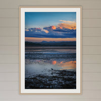 Bird on Boardwalk framed print in oak with a white mat, in a coastal lounge room