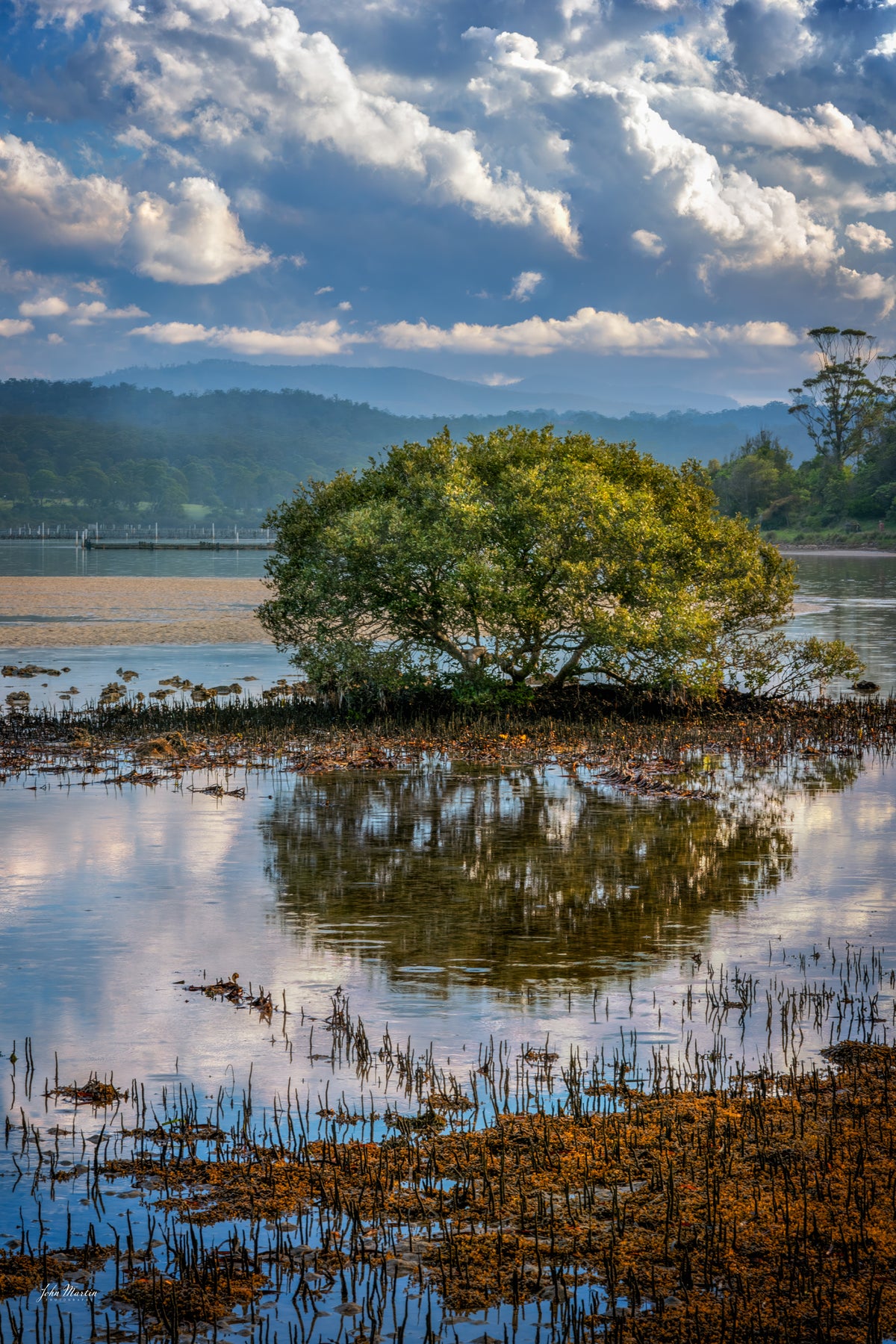 Merimbula Lake and its bushy shoreline as seen from the Boardwalk — fine art print