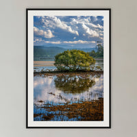 Merimbula Boardwalk Vista framed print in black with a white mat, in a cane-panelled hallway