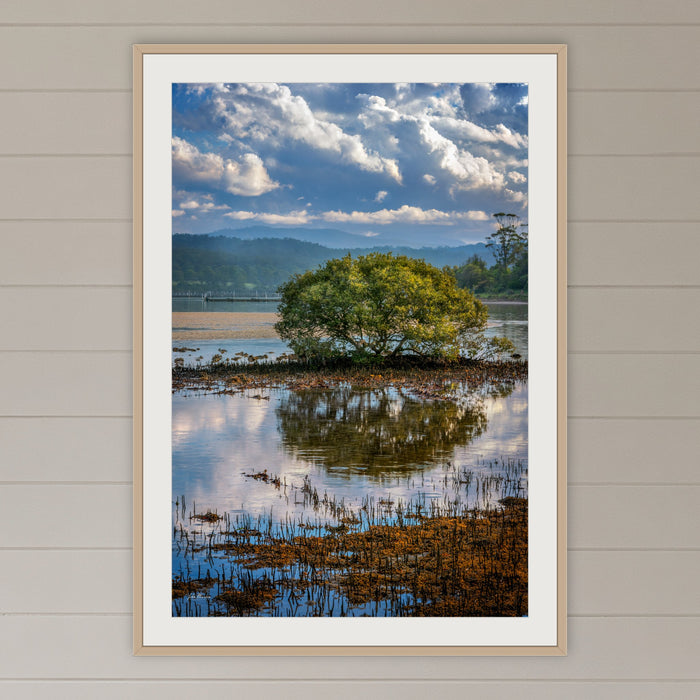 Merimbula Boardwalk Vista framed print in oak with a white mat, on a coastal lounge room wall