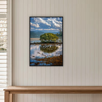 Merimbula Boardwalk Vista in a black frame without a mat, on a panelled hallway wall