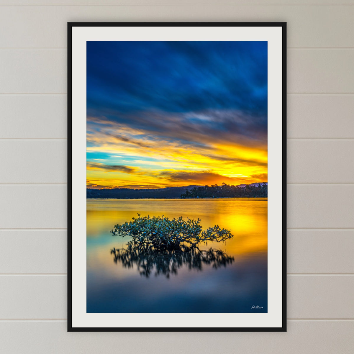 Mangrove Reflections framed print in black with a white mat, in a shiplap hallway