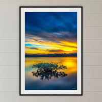 Mangrove Reflections framed print in black with a white mat, in a shiplap hallway