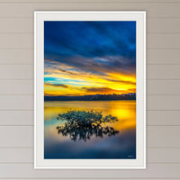Mangrove Reflections framed print in white with a mat, in a coastal lounge room