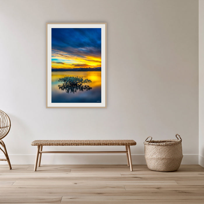 Mangrove Reflections framed print in oak with a white mat, in a cane-panelled hallway