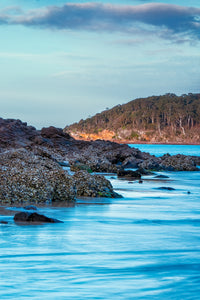 Oysters growing on the rocks at Pambula River Mouth — fine art print