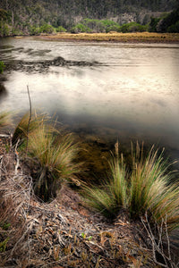 Rain falling on the Yowaka River near Pambula — fine art print