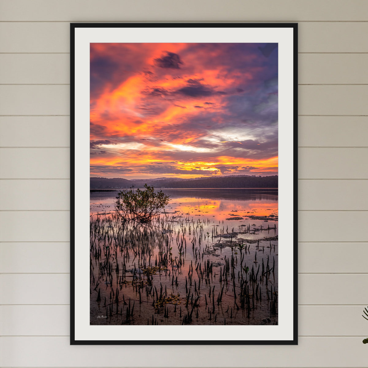 Top Lake Mangrove framed print in black with a white mat, in a coastal bedroom