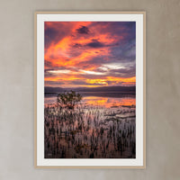 Top Lake Mangrove framed print in oak with a white mat, in a plaster-walled hallway