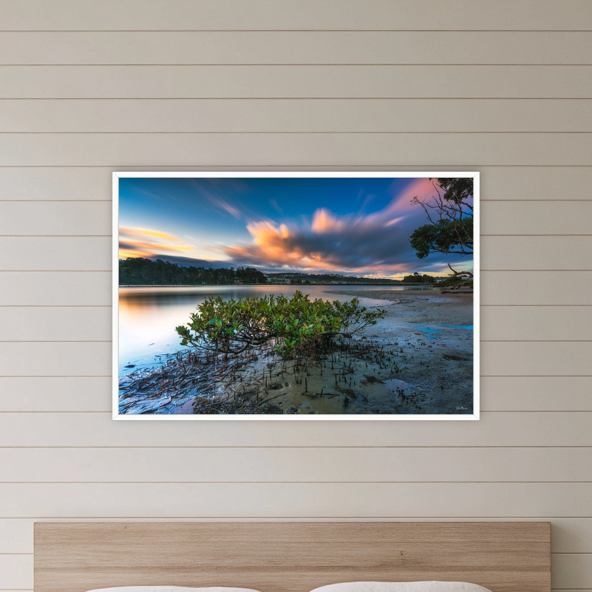 Merimbula through a Mangrove Tree in a white frame without a mat, in a bedroom