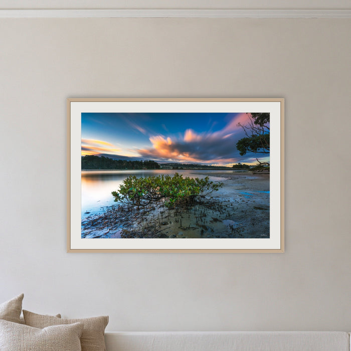 Merimbula through a Mangrove Tree framed print in oak with a white mat, on a coastal lounge room wall
