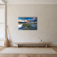 Merimbula through a Mangrove Tree acrylic panel wall art in a hallway