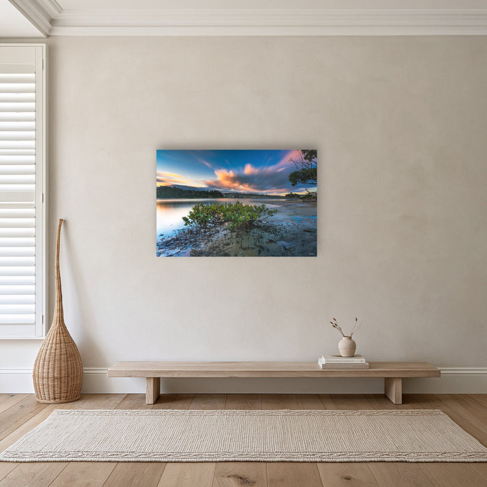 Merimbula through a Mangrove Tree acrylic panel wall art in a hallway