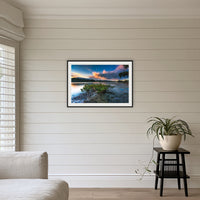 Merimbula through a Mangrove Tree framed print in black with a white mat, above a sofa