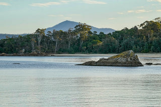 Twofold Bay — Wall Art | Eden NSW
