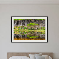 Bournda Lagoon Reflections framed print in black with a white mat, in a bedroom
