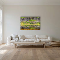 Bournda Lagoon Reflections acrylic panel wall art in a coastal lounge room
