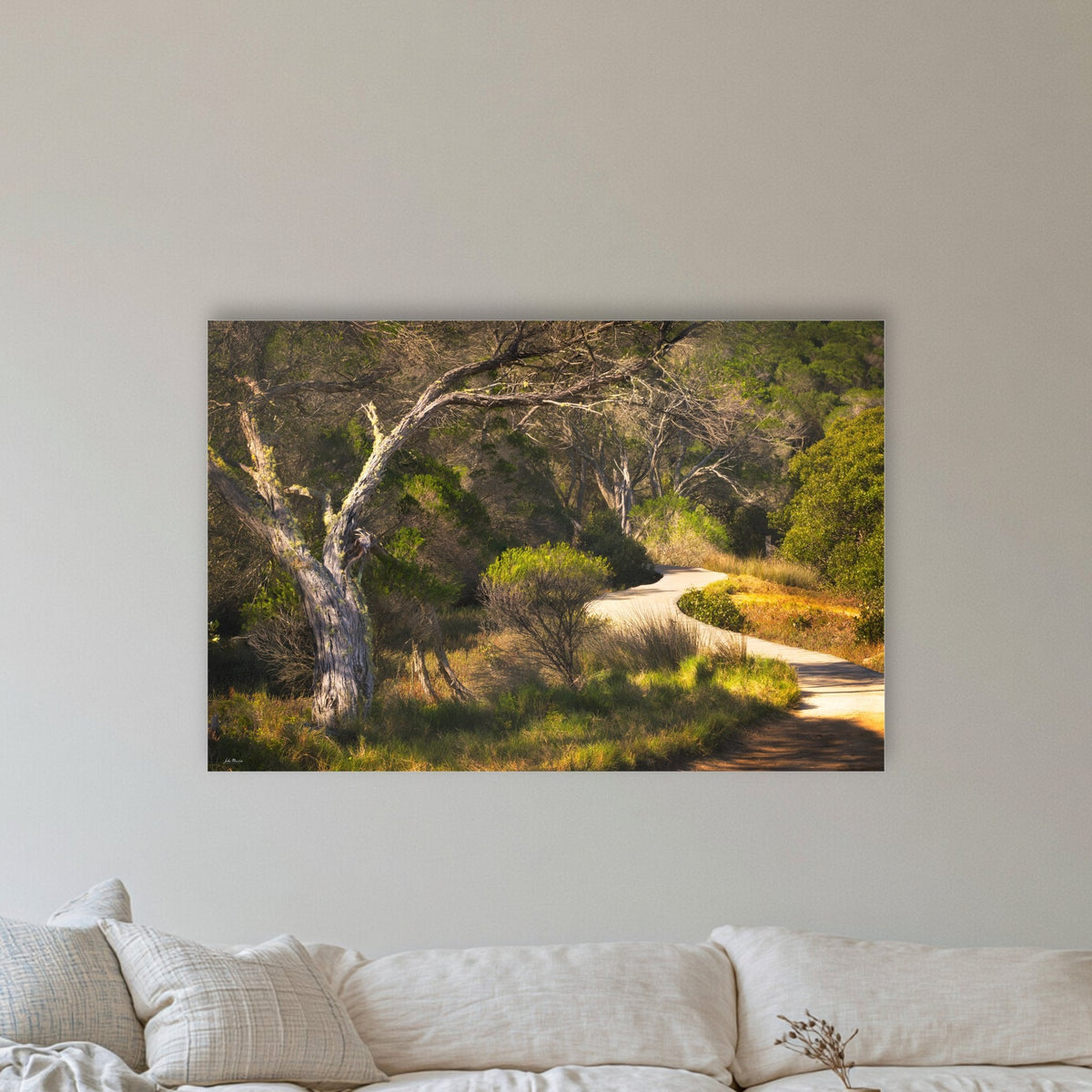 Merimbula Boardwalk acrylic panel wall art in a coastal lounge room