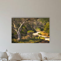 Merimbula Boardwalk acrylic panel wall art in a coastal lounge room