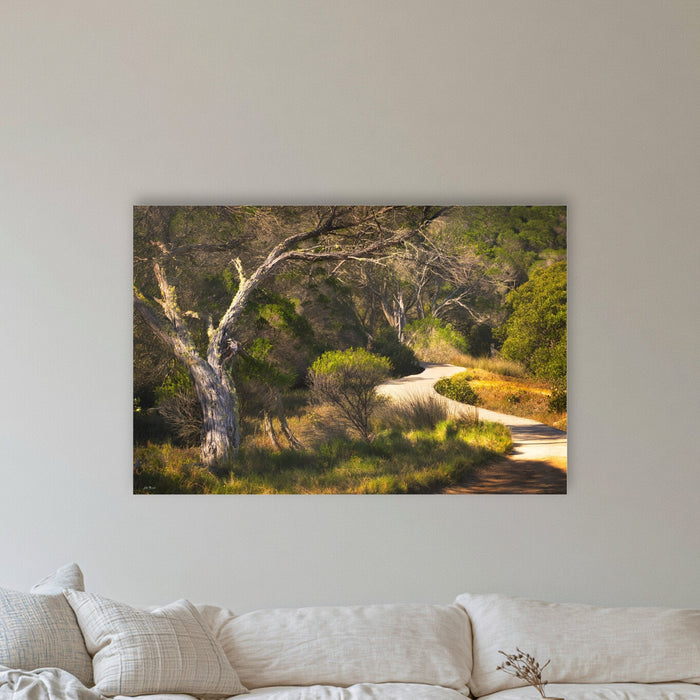 Merimbula Boardwalk acrylic panel wall art in a coastal lounge room