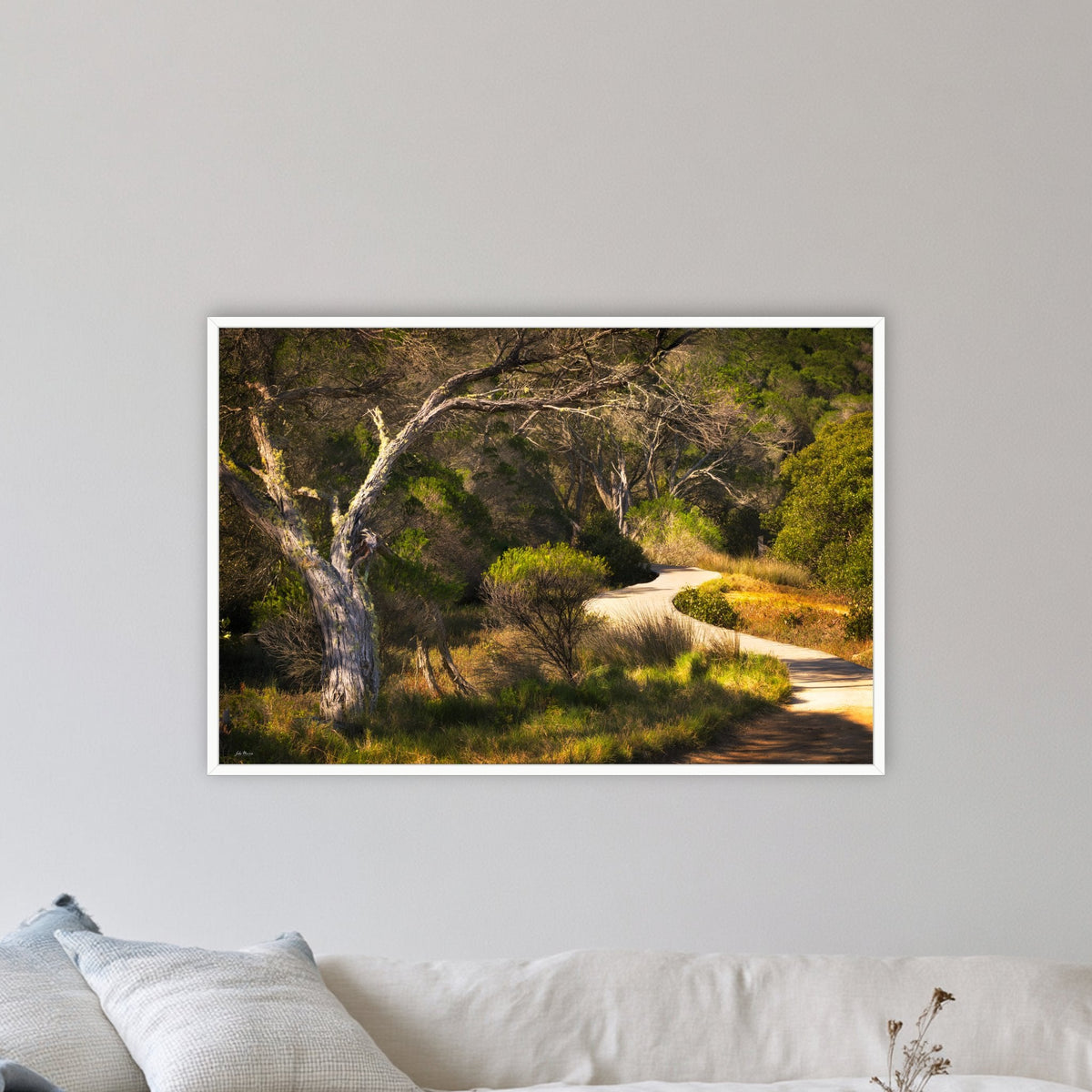 Merimbula Boardwalk in a white frame without a mat, on a lounge room wall