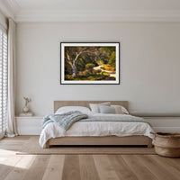 Merimbula Boardwalk framed print in black with a white mat, in a bedroom