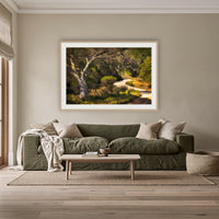 Merimbula Boardwalk framed print in oak with a white mat, above an olive linen sofa in a lounge room