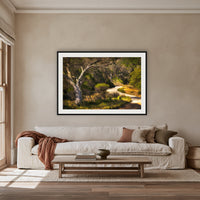 Merimbula Boardwalk framed print in black with a white mat, above an oatmeal linen sofa in a lounge room