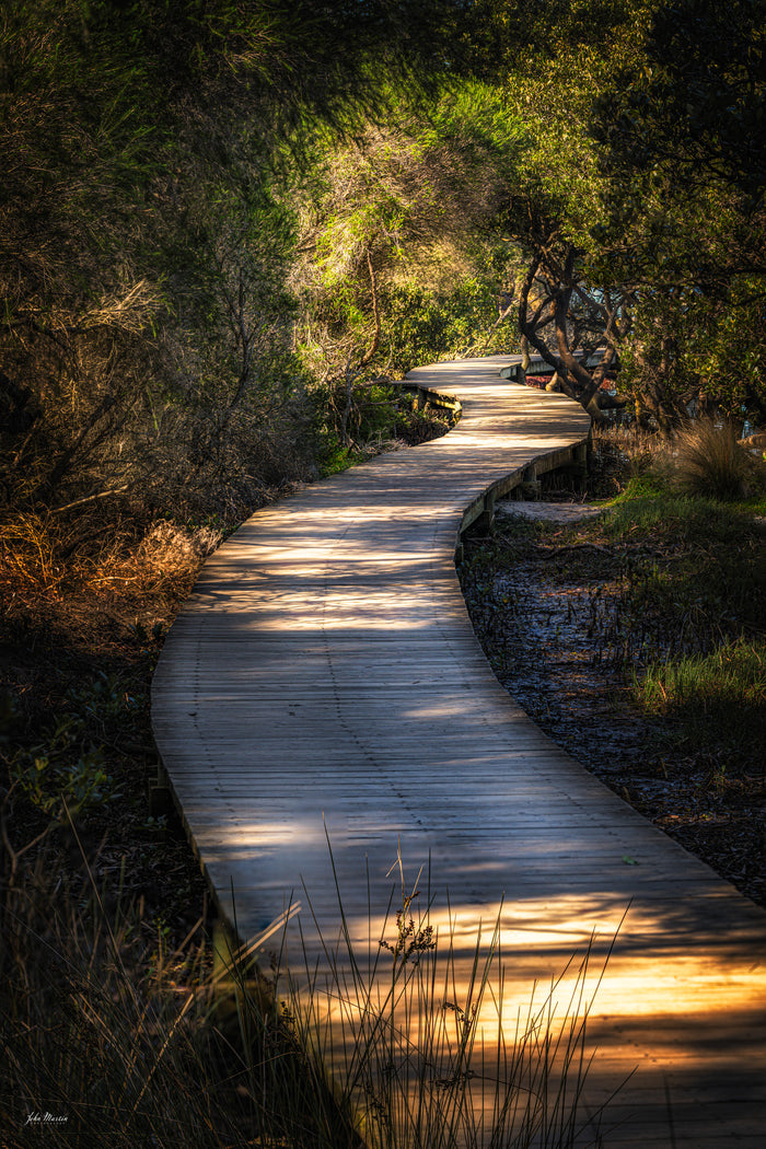 The Merimbula Boardwalk winding through mangroves at sunset — fine art print