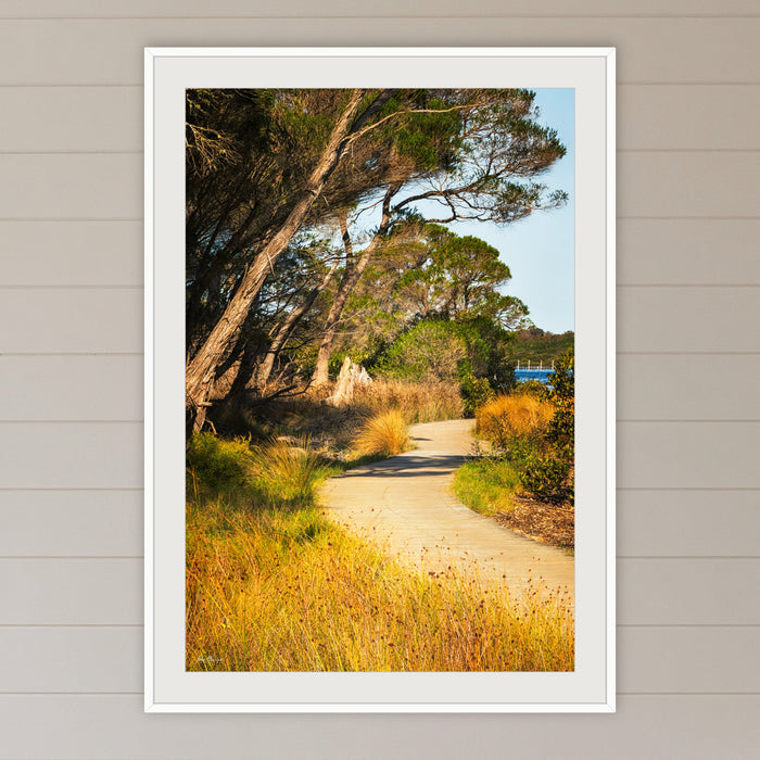 Merimbula Boardwalk Three framed print in white with a mat, in a coastal lounge room