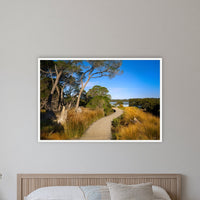 Merimbula Boardwalk — Five in a white frame without a mat, on a coastal bedroom wall