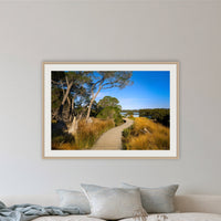 Merimbula Boardwalk — Five framed print in oak with a white mat, in a lounge room