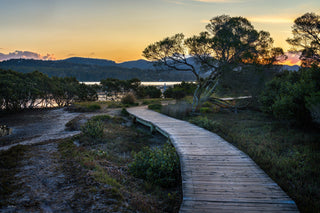 Merimbula Boardwalk — Four Wall Art | NSW