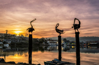 Pelican Sculptures — Wall Art | Merimbula NSW