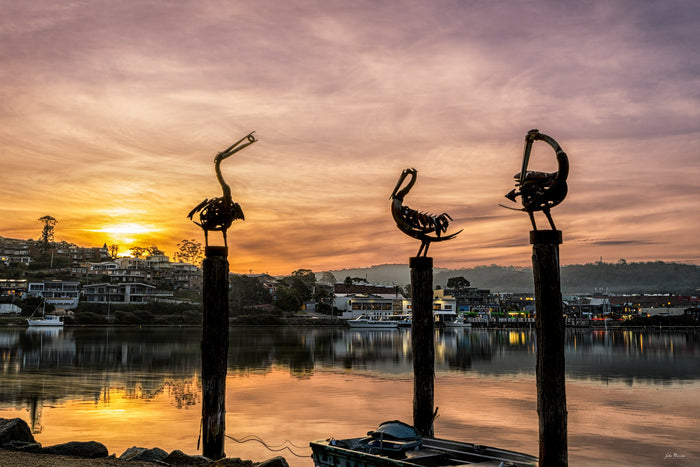 Three metal pelican sculptures on timber pilings silhouetted against a sunset sky at Fishpen, Merimbula — fine art print