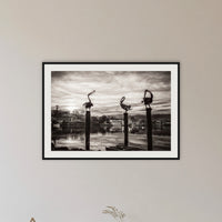 Pelican Sculptures in black and white framed print in black with a white mat, in a hallway