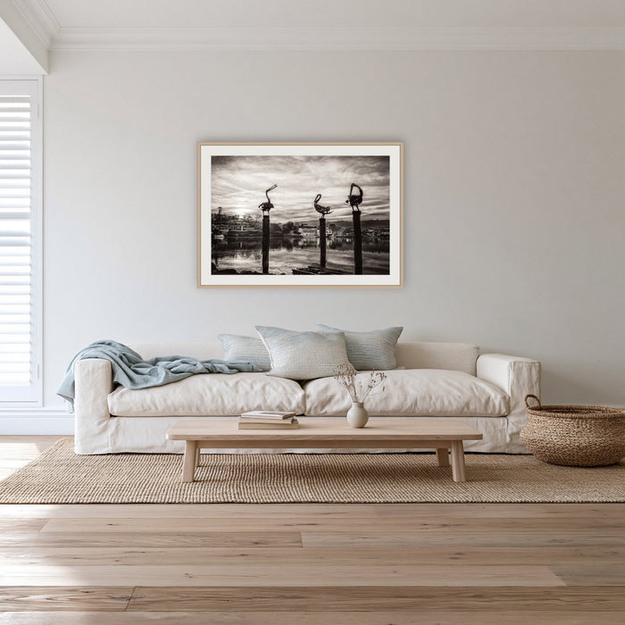 Pelican Sculptures in black and white framed print in oak with a white mat, in a lounge room