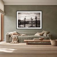 Pelican Sculptures in black and white framed print in black with a white mat, above a sage linen sofa in a lounge room