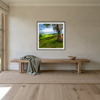 Bega Valley Countryside square framed print in black with a white mat, above a timber bench in a hallway