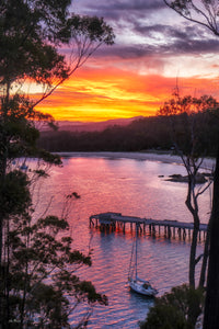 Sailboats moored at sunset in Cattle Bay, Eden — fine art print