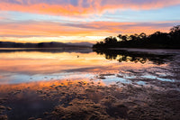 Pink and gold sunset mirrored in the wet tidal flats of Top Lake, a lone bird walking the mud flats — fine art print