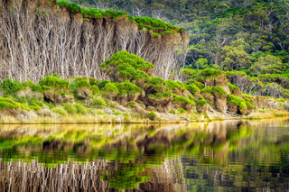 Bournda Lagoon's Serenity — Wall Art | Sapphire Coast NSW
