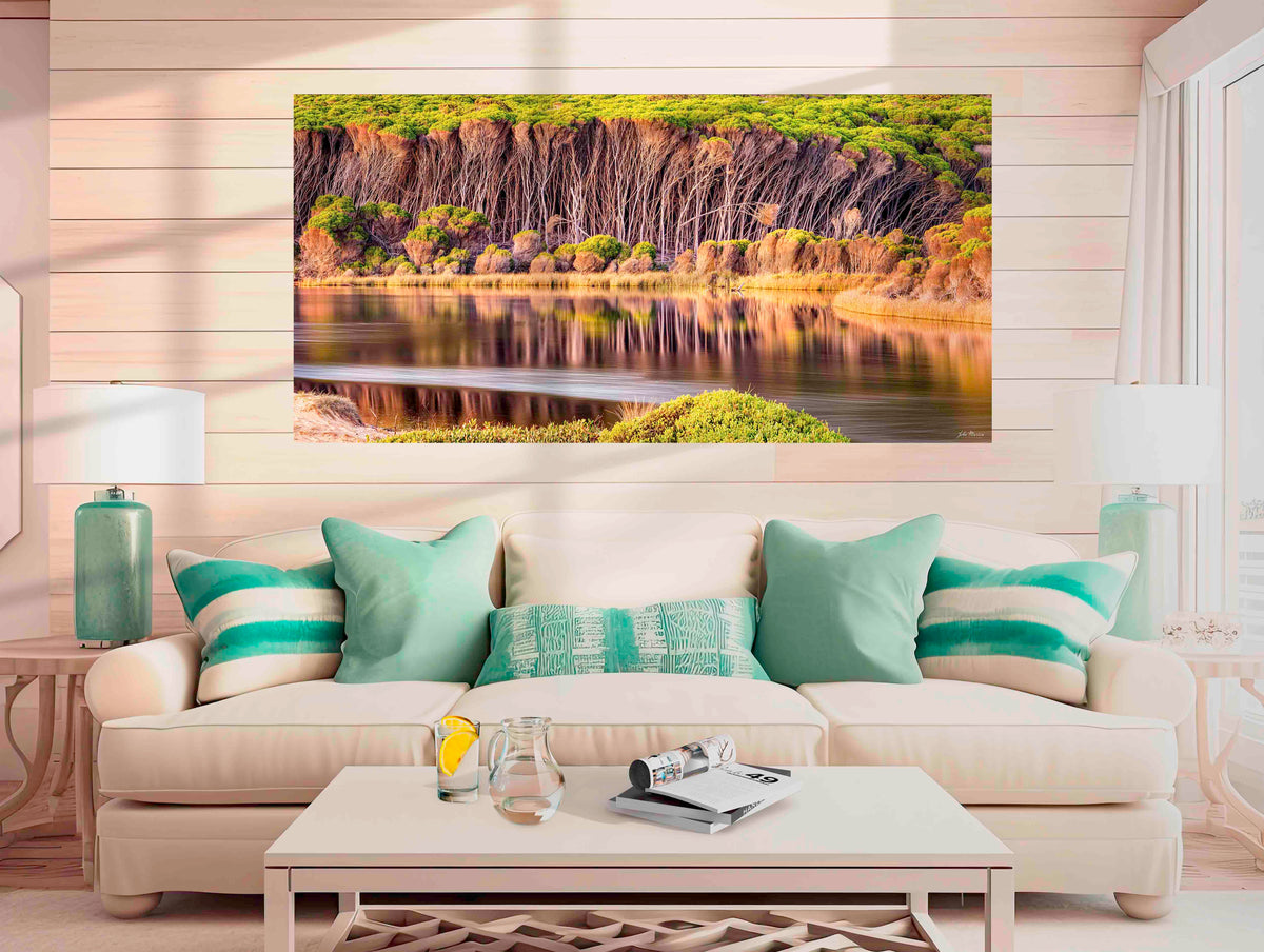 Bournda Lagoon wide panorama — acrylic wall art, melaleuca reflections, Bournda National Park NSW