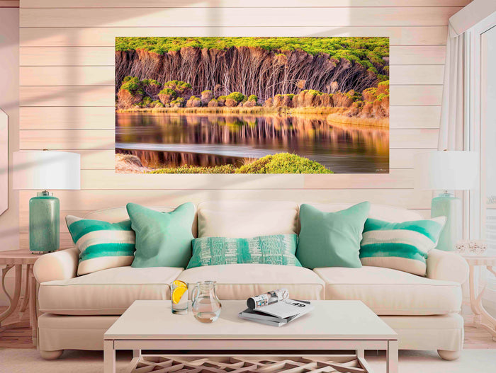 Bournda Lagoon wide panorama — acrylic wall art, melaleuca reflections, Bournda National Park NSW