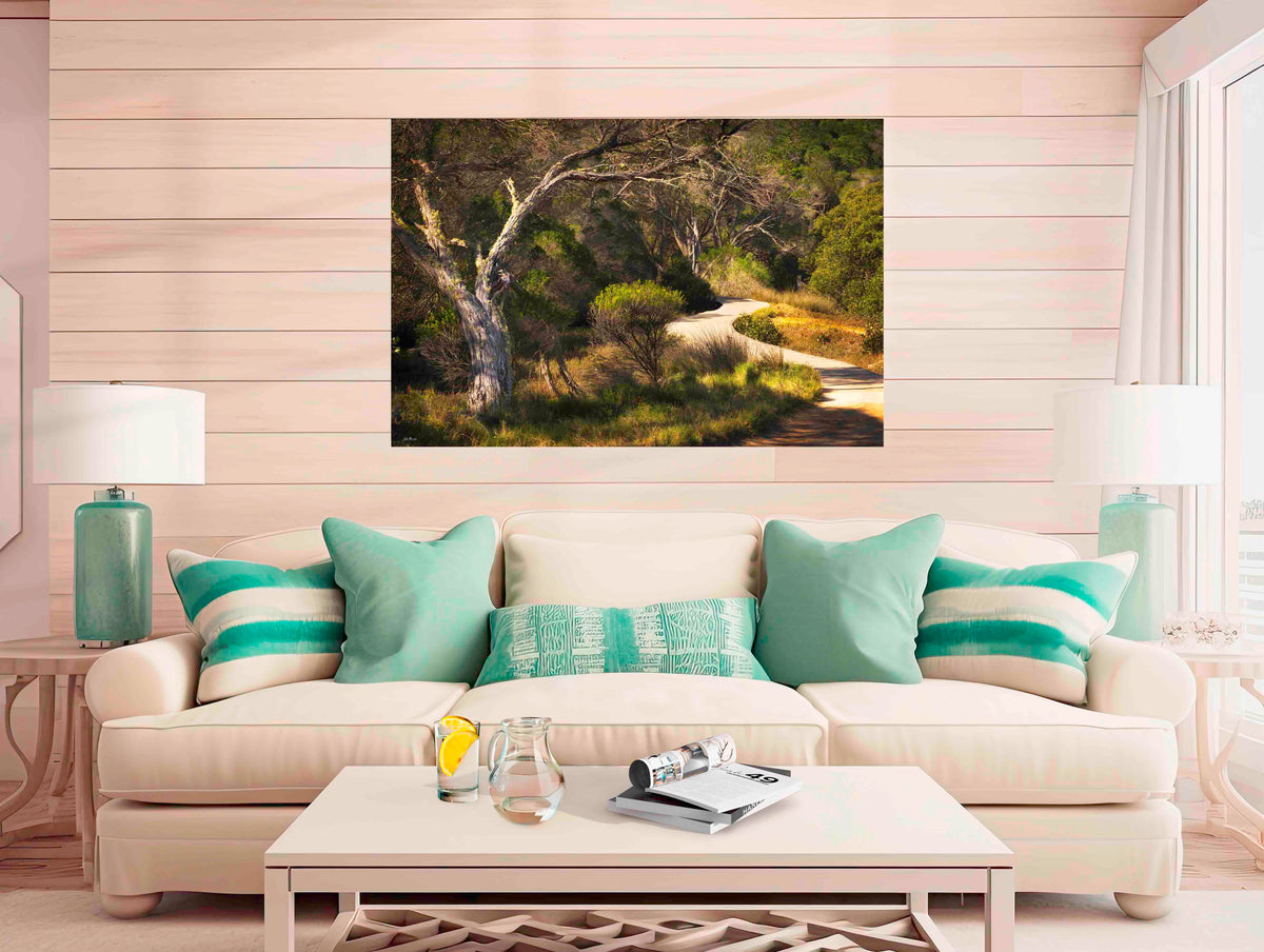 Merimbula Boardwalk acrylic panel wall art
