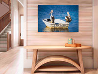 Pelicans Limo acrylic panel print
