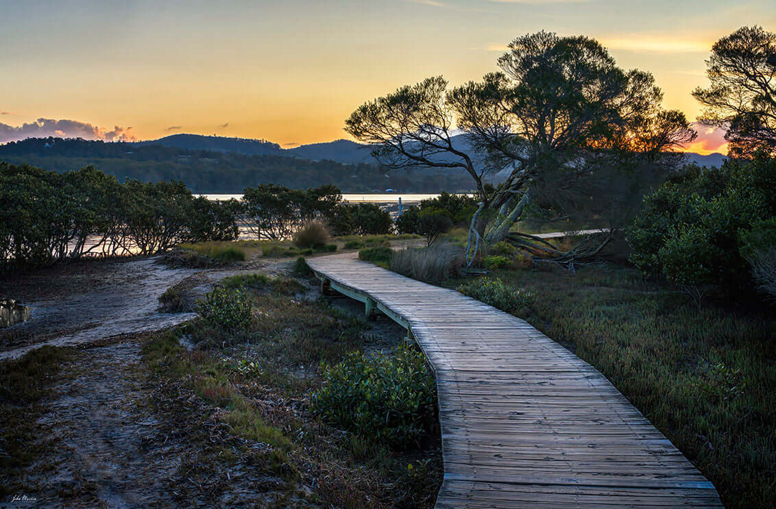 Merimbula Boardwalk Four print, intimate path through mangroves at sunset